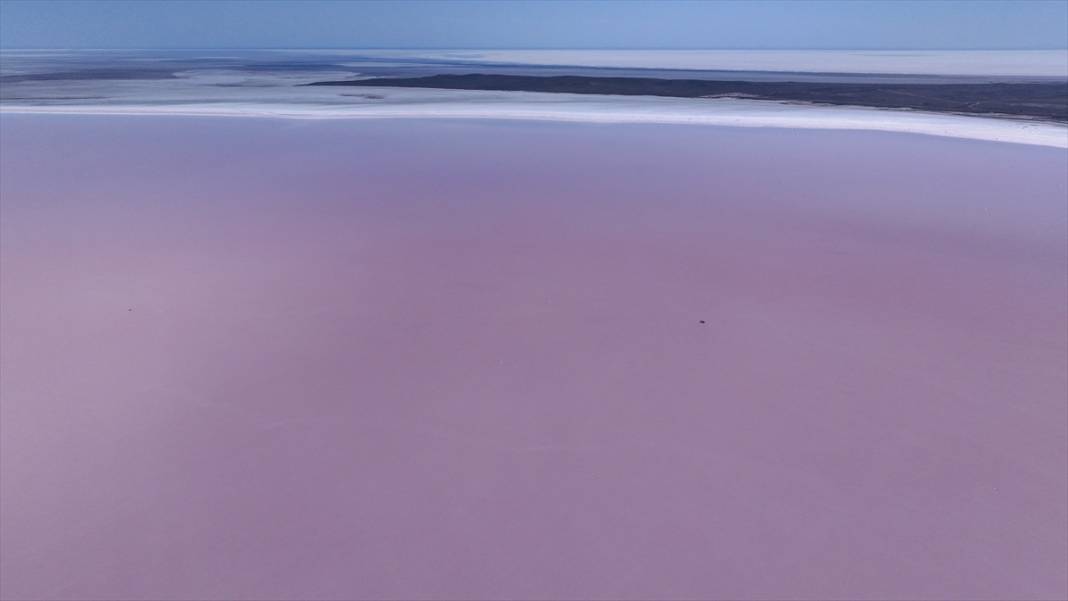 Kavurucu sıcaklar Tuz Gölü'nü kızarttı! Bakteriler cirit atıyor 5